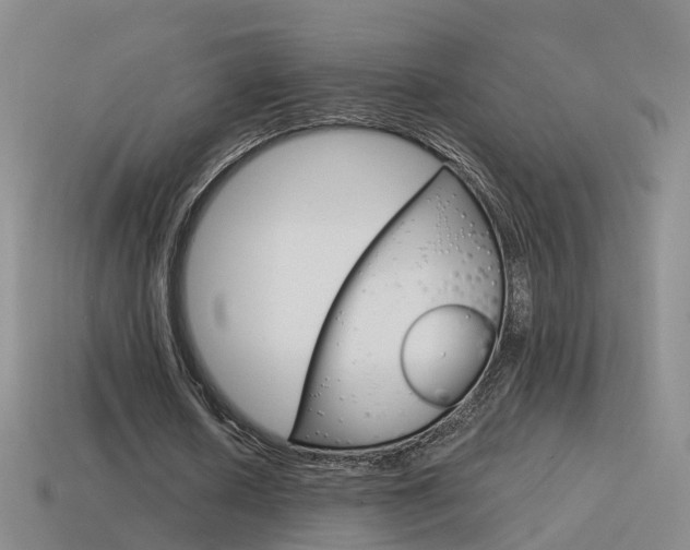 X0000115600626200911100953