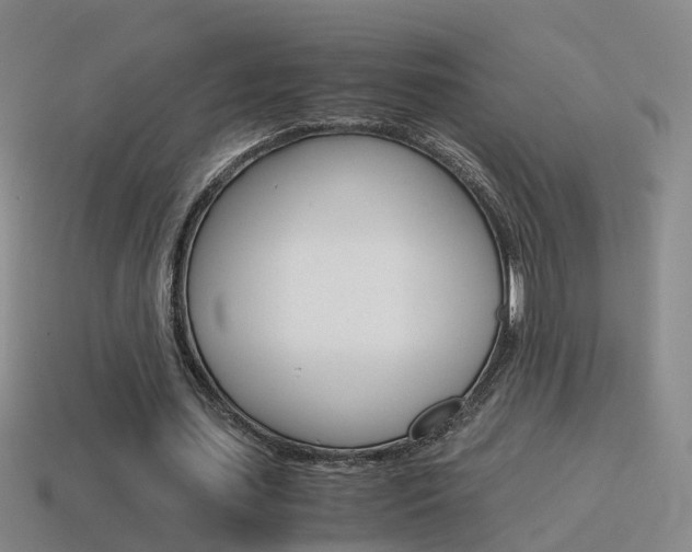 X0000115600627200911100953