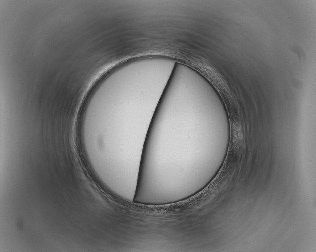 X0000115600628200911100953