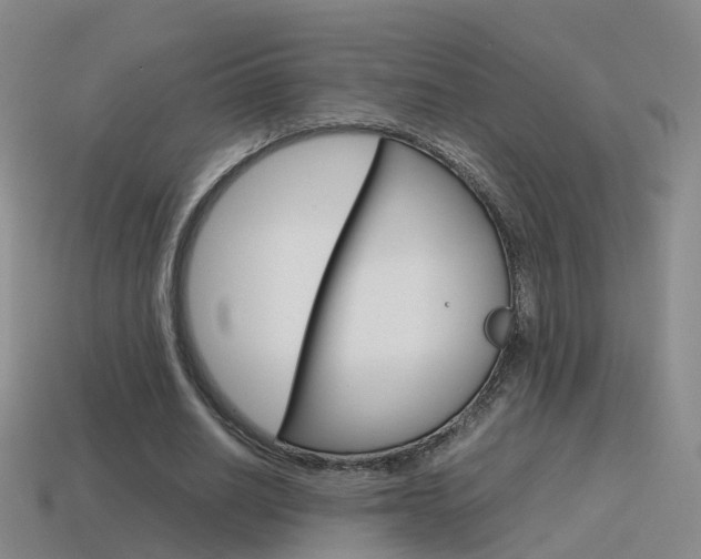 X0000115600630200911100953