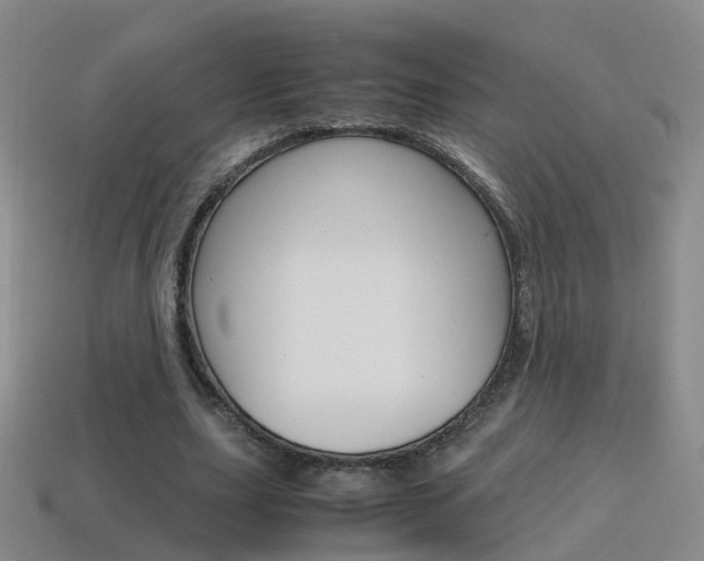 X0000115600631200911100953