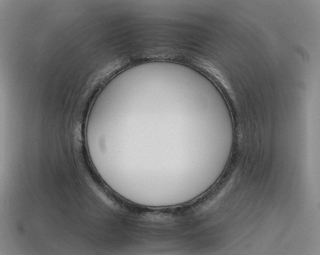 X0000115600633200911100953