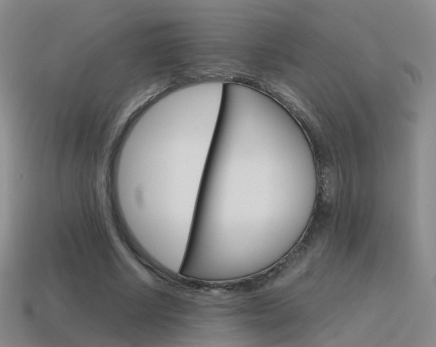 X0000115600634200911100953