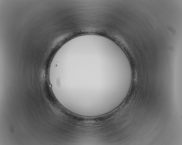 X0000115600636200911100953