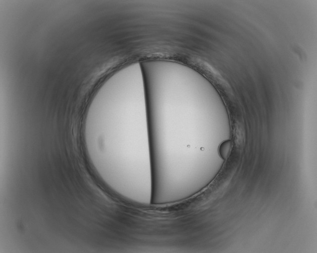 X0000115600637200911100953