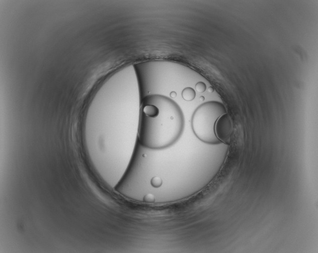 X0000115600638200911100953