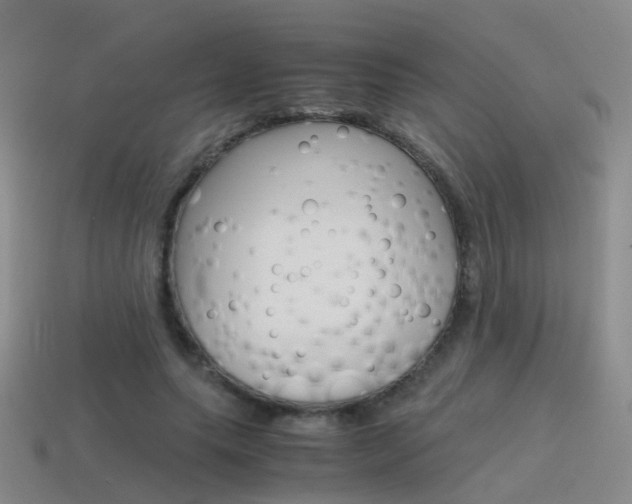 X0000115600639200911100953