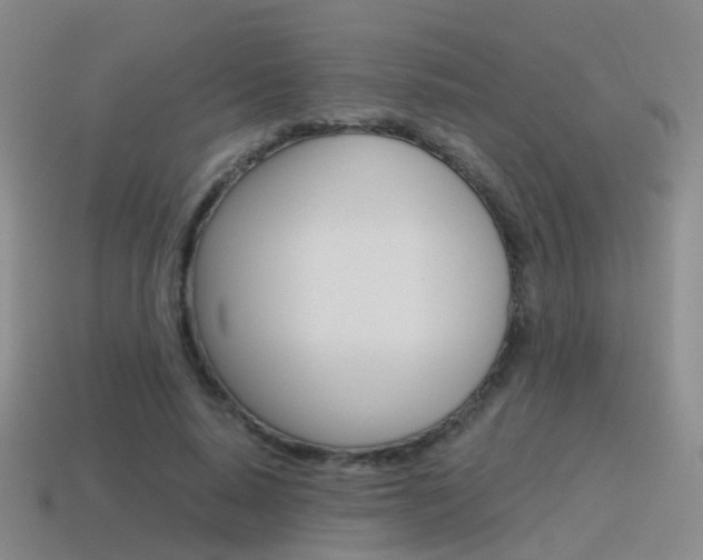 X0000115600640200911100953