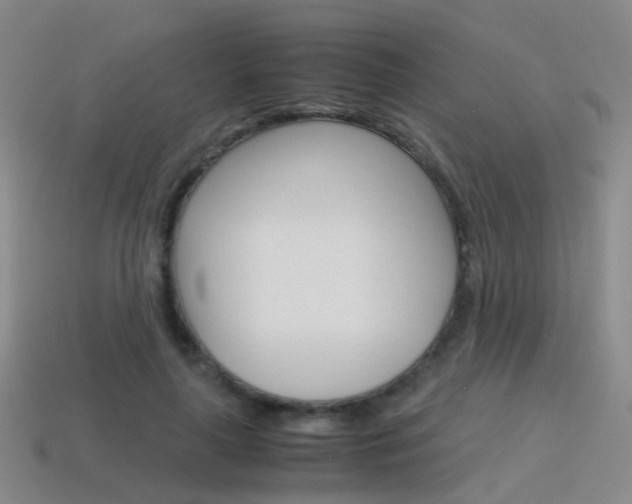 X0000115600643200911100953