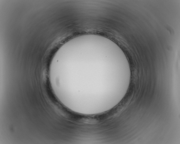 X0000115600644200911100953