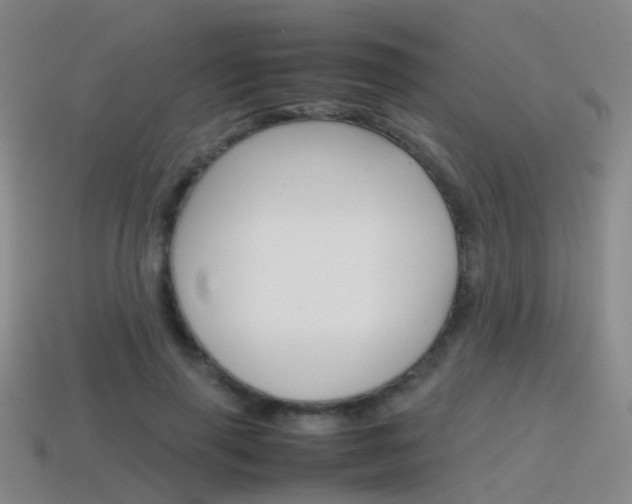 X0000115600645200911100953