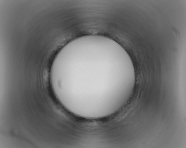 X0000115600646200911100953