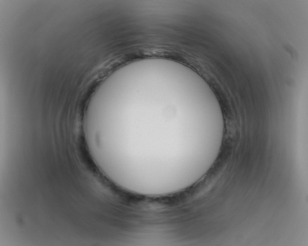 X0000115600648200911100953