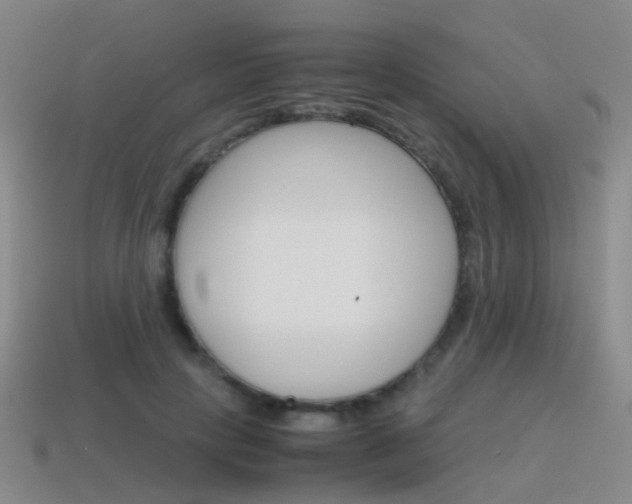 X0000115600649200911100953