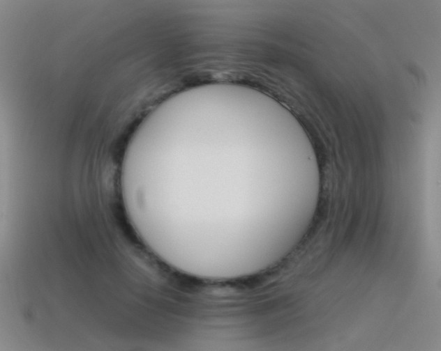 X0000115600650200911100953