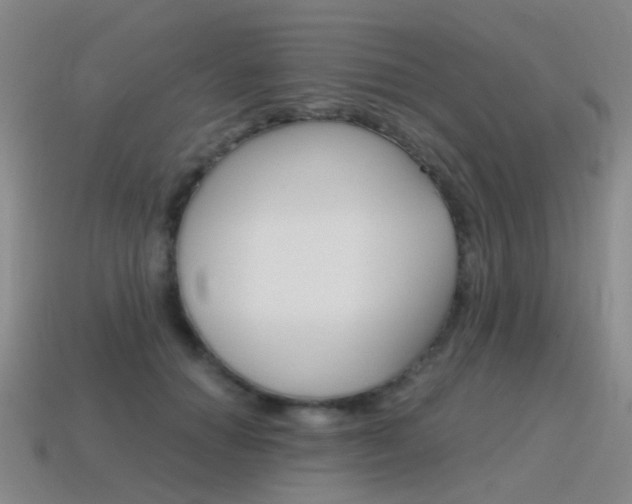 X0000115600654200911100953