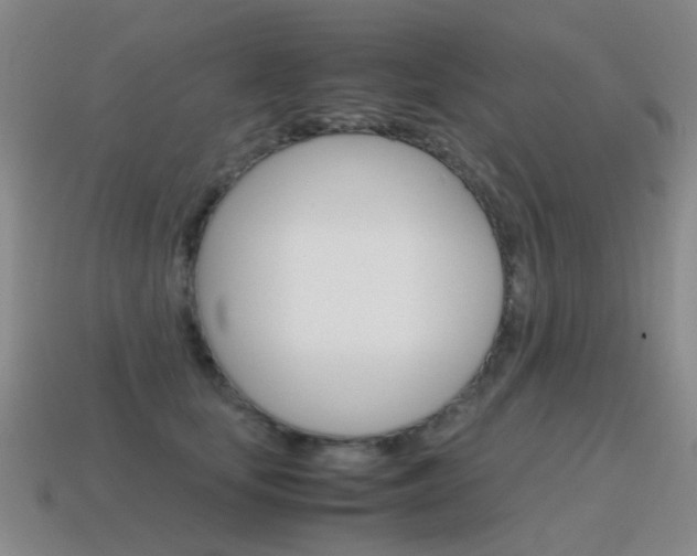 X0000115600659200911100953