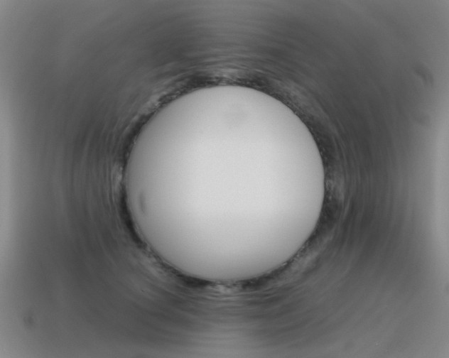 X0000115600660200911100953
