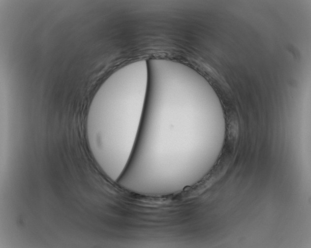 X0000115600661200911100953
