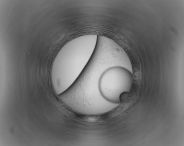 X0000115600662200911100953