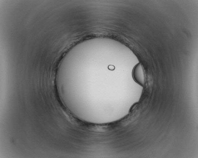 X0000115600664200911100953