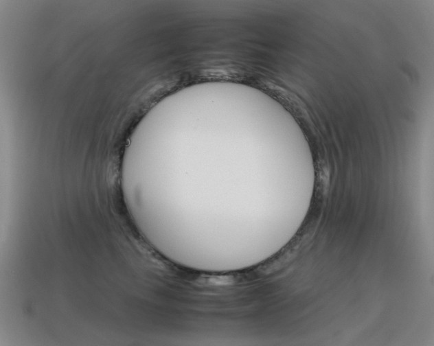 X0000115600665200911100953