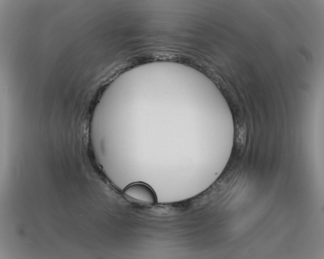 X0000115600666200911100953
