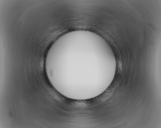 X0000115600668200911100953