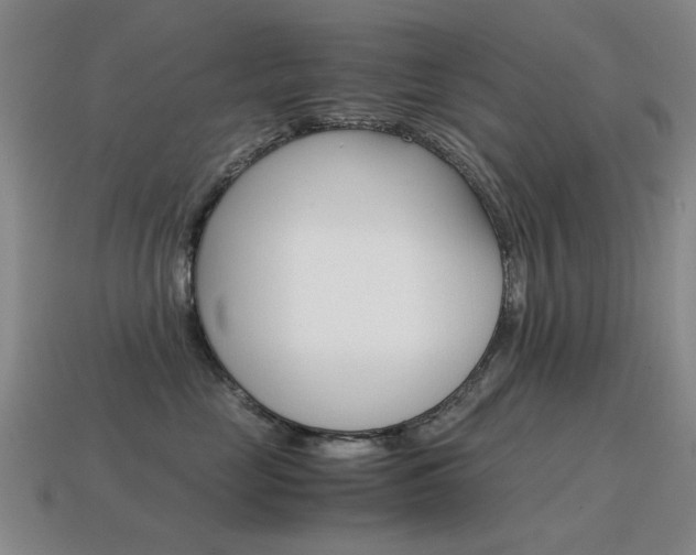 X0000115600669200911100953