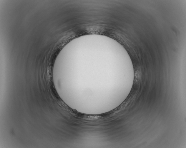 X0000115600671200911100953