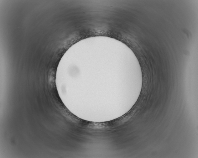 X0000115600672200911100953