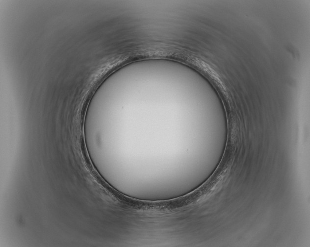 X0000115600673200911100953