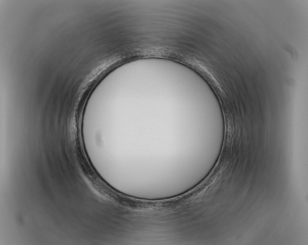 X0000115600674200911100953