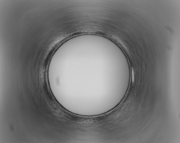 X0000115600675200911100953
