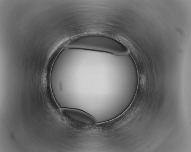 X0000115600676200911100953