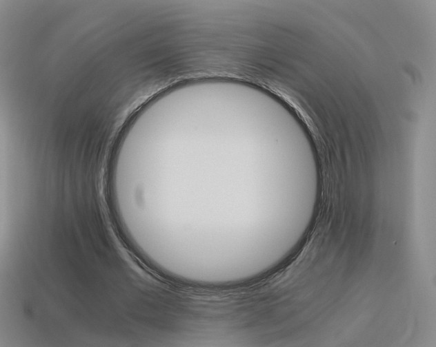 X0000115600677200911100953