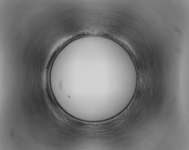 X0000115600678200911100953
