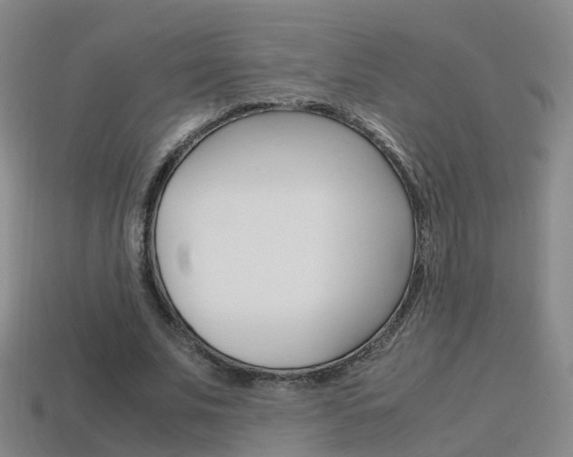 X0000115600679200911100953