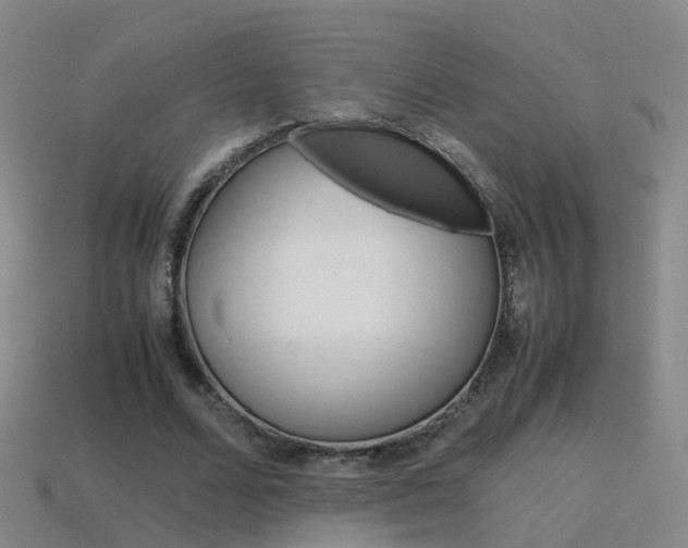 X0000115600680200911100952
