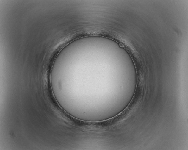 X0000115600681200911100952