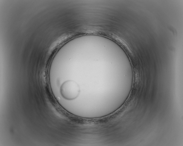 X0000115600682200911100952