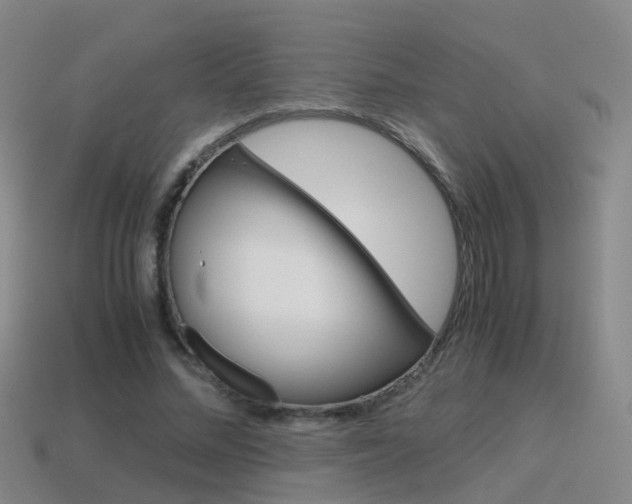 X0000115600684200911100952
