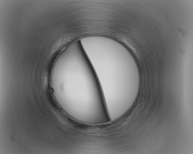 X0000115600685200911100952