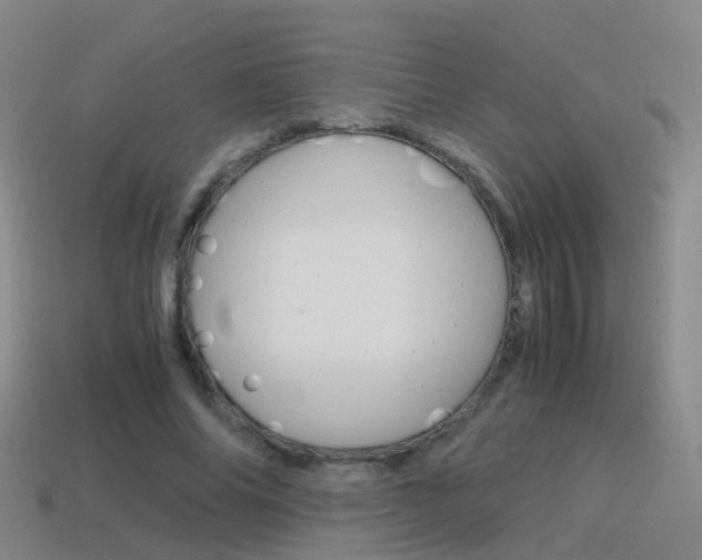 X0000115600686200911100952