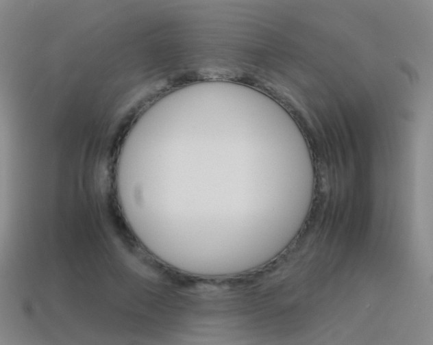 X0000115600690200911100952