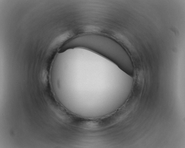 X0000115600692200911100952