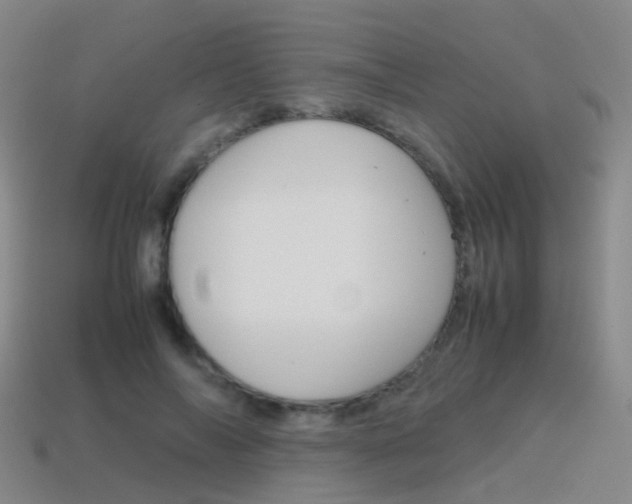 X0000115600694200911100952