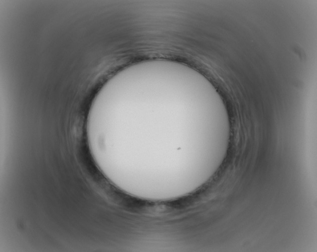X0000115600695200911100952