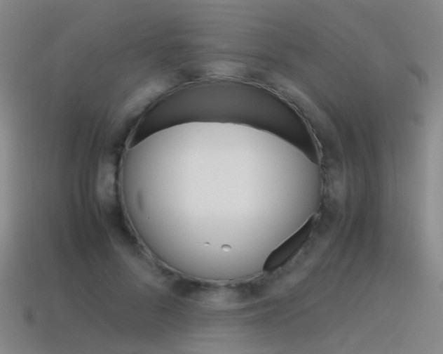 X0000115600696200911100952