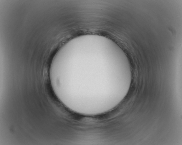 X0000115600699200911100952